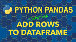 python pandas add rows to dataframe