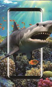 3D Shark in the Ocean Live Wallpaper ...