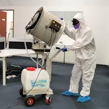 mold removal singapore mould mites
