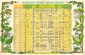 Harvest Home Herb Chart Ph0972 D Herbs Herbal Medicine