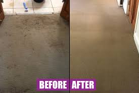 gold coast carpet cleaning upholstery