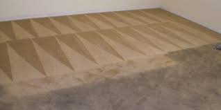 carpet cleaning in midlothian va