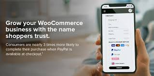 You need a way for them to pay you online that's also safe and secure. Supercharge Your Woocommerce Store With Paypal