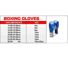 Training Boxing Gloves Size Images Gloves And Descriptions