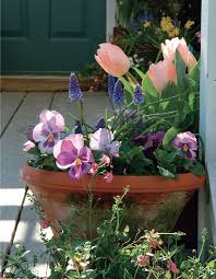 Cool Season Containers