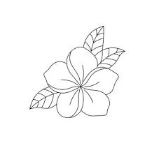 tropical flower outline images browse