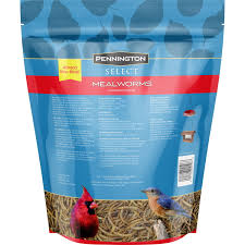 pennington mealworms bluebird and wild