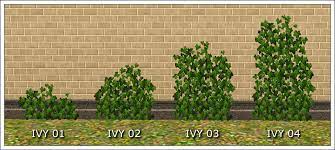 Mod The Sims Creeping Ivy
