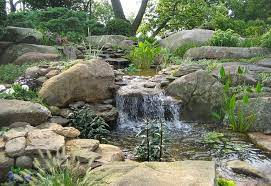 Garden Pond Rock Waterfalls Garden