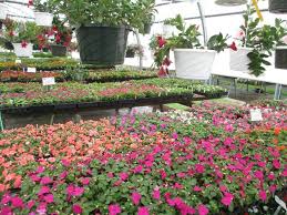 Landscaping Centers In New Jersey