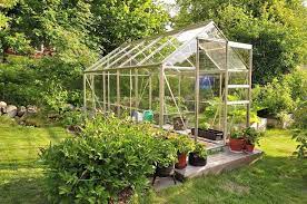 Guide To Setting Up A Greenhouse