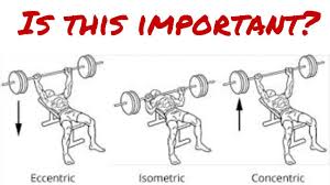 eccentric and concentric exercises