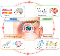 Smart Contact Lenses As Wearable