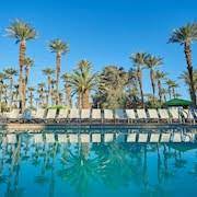 pet friendly hotels in palm desert ca