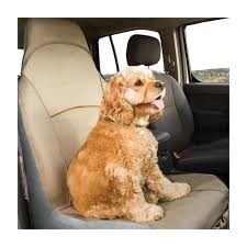 Kurgo Co Pilot Dog Car Seat Cover Lazada