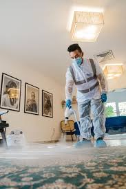carpet cleaning services cost