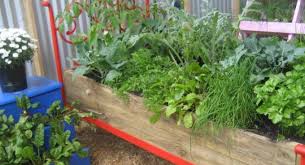 Upcycling In Your Garden Sustainable