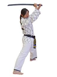 palm beach super taekwondo