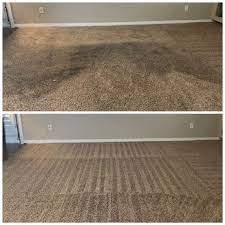 sun carpet care updated april 2024