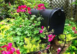 13 Ideas For An Eye Catching Mailbox Garden