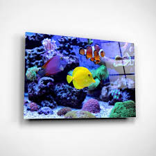amazing c reef aquarium moment uv