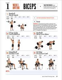 bad arms training guide