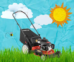 Briggs and stratton low wheel rwd gas walk behind self propelled lawn mower with bagger get a great cut and healthy lawn for an excellent get a great cut and healthy lawn for an excellent value with the 21 in. 8 Best Lawn Mowers On Sale Amazon Prime Day 2021 June Deal Gas Walk Behind Push Riding Lawnmower