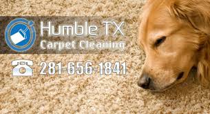 humble tx carpet cleaning eco