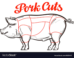Pork Pig Chart Meat Cuts Or Butcher Shop