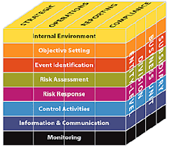 coso model for internal controls long