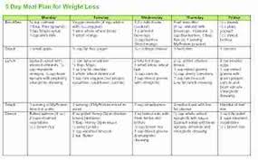 Non Veg Diet Chart For Weight Loss How To Lose Pounds In A