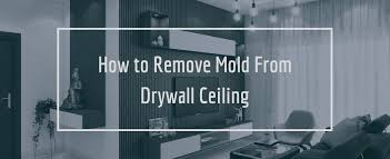 Remove Mold From Drywall Ceilings
