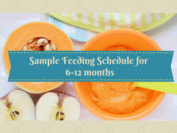 a sle feeding schedule for your baby