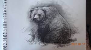 Our reader often asked us to make a tutorial about how to draw a bear. Drawing Easy Realistic Koala Face Drawing