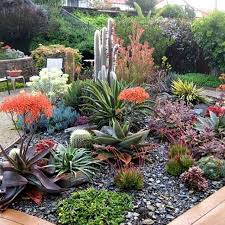 5 Succulent Landscaping Ideas Recipe On