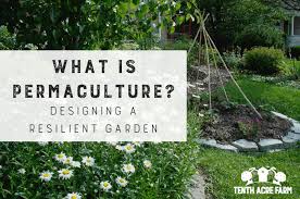 what is permaculture designing a
