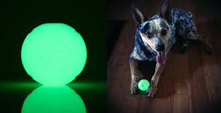 Chuckit Max Glow Ball Dog Toy