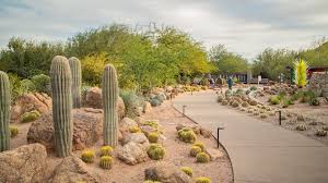 desert botanical garden pictures view