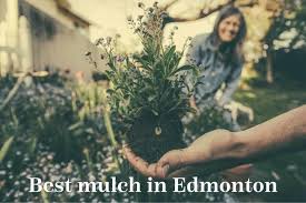 Gardening S For Mulch In Edmonton