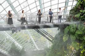 gardens by the bay s cloud forest
