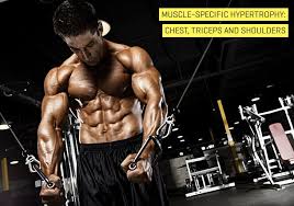 muscle specific hypertrophy chest