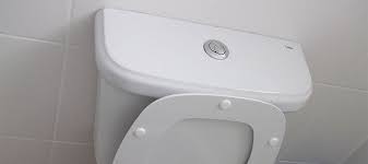How To Fix A Toilet Flush On In 10