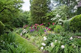 perennial flower garden designs