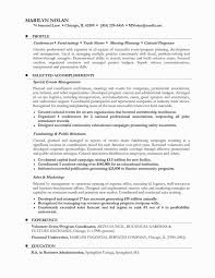 10 Resume Summary Examples For It Professionals Mla Format