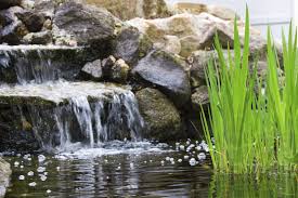 Ditch the idea of professional pond installations and get going to build one all by yourself with these innovative diy pond ideas. Backyard Pond Waterfalls How To Build A Pond Waterfall In The Garden