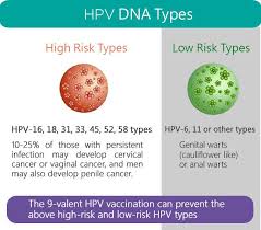 risk hpv infection
