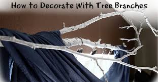 10 ways to decorate with tree branches