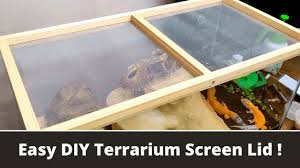 diy terrarium screen lid