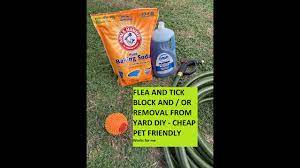 flea and tick in your yard