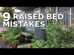 9 Beginner Raised Bed Garden Mistakes